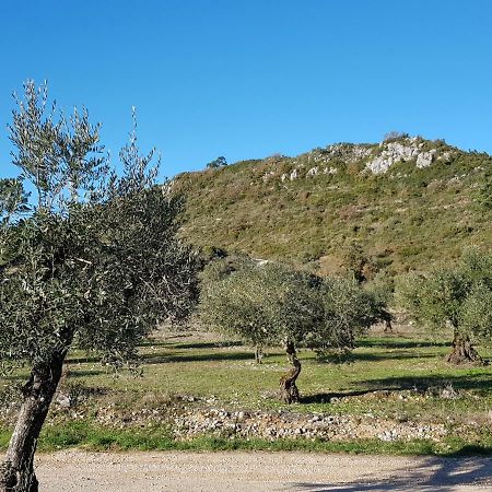 אלבדוס Casa Das Oliveiras מראה חיצוני תמונה