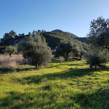 אלבדוס Casa Das Oliveiras מראה חיצוני תמונה