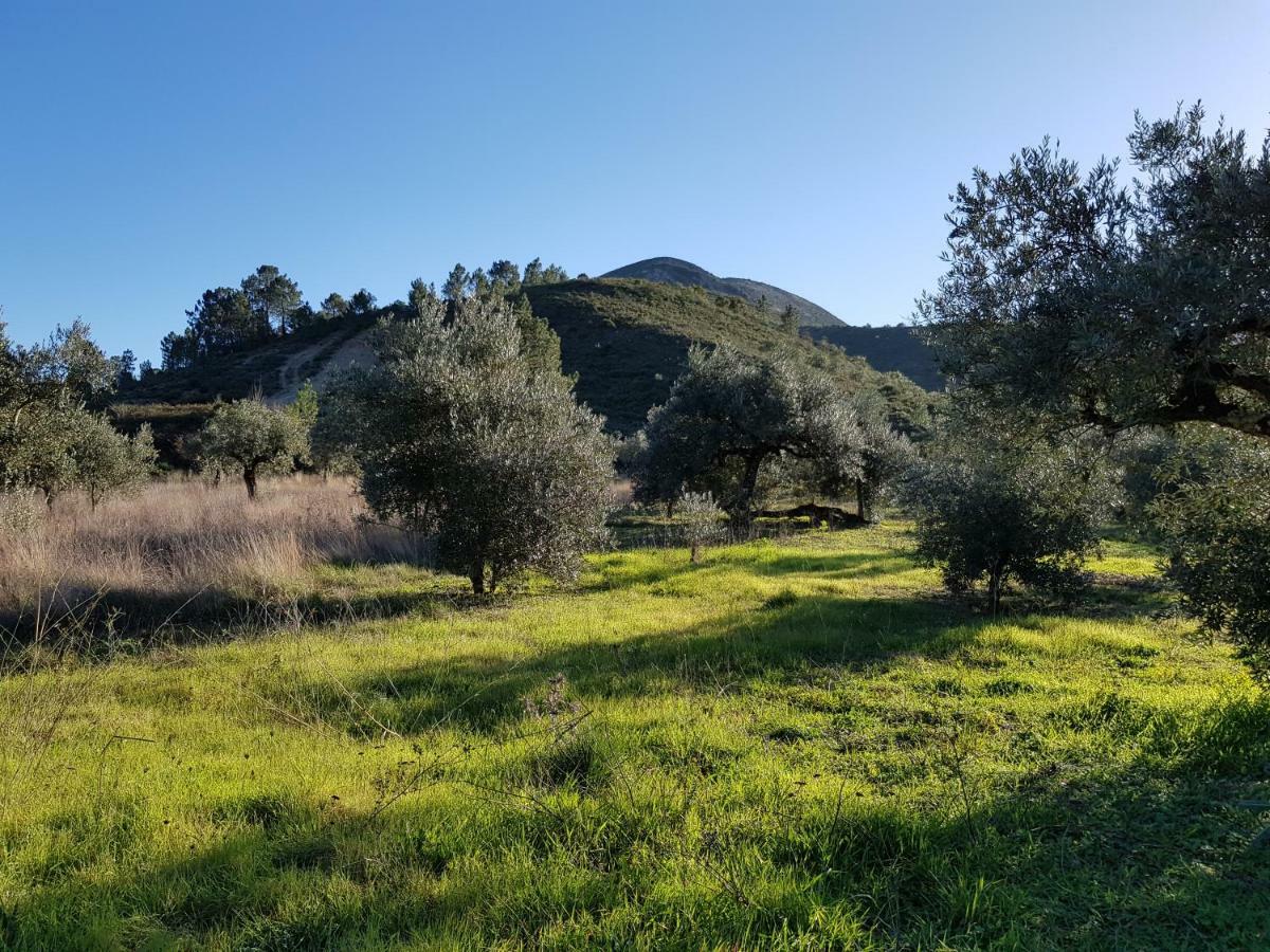 אלבדוס Casa Das Oliveiras מראה חיצוני תמונה